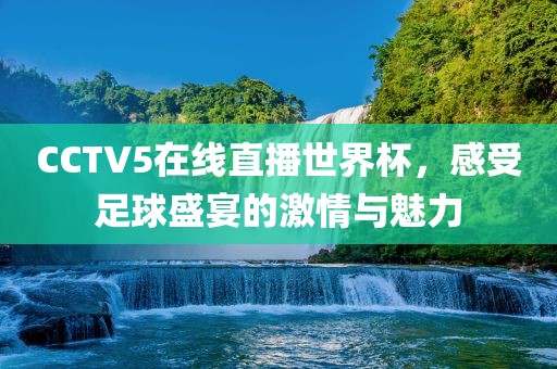 CCTV5在线直播世界杯，感受足球盛宴的激情与魅力