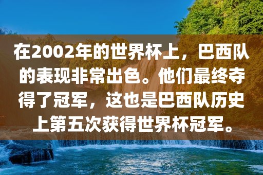 在2002年的世界杯上，巴西队的表现非常出色。他们最终夺得了冠军，这也是巴西队历史上第五次获得世界杯冠军。漯河市盈旭机械设备有限公司
