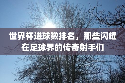 世界杯进球数排名，那些闪耀在足球界的传奇射手们