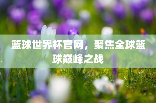 篮球世界杯官网，聚焦全球篮球巅峰之战漯河市盈旭机械设备有限公司