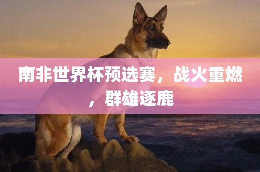 南非世界漯河市盈旭机械设备有限公司杯预选赛，战火重燃，群雄逐鹿