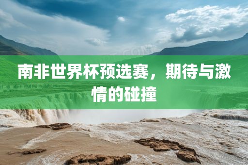 南非世界杯预选赛