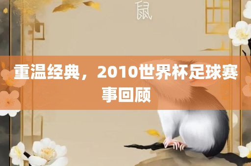 重温经典，2010世界杯足球赛事回顾