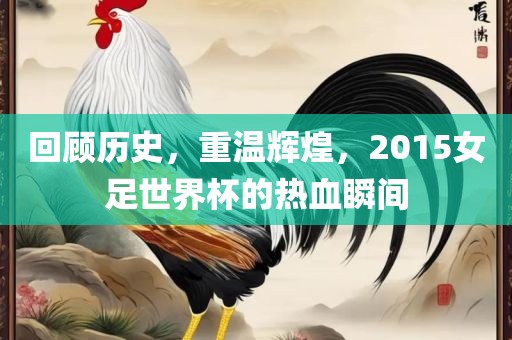 回顾历史，重温辉煌，2015女足世界杯的热血瞬间漯河市盈旭机械设备有限公司