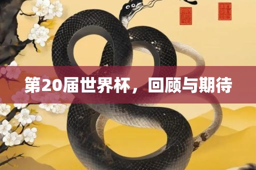 第20届世界杯，回顾与期待