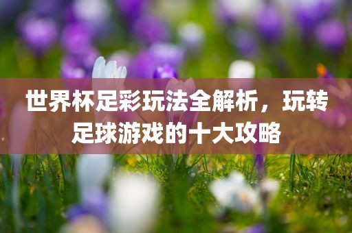 世界杯足彩玩法全解析，玩转足球游戏的十大攻略
