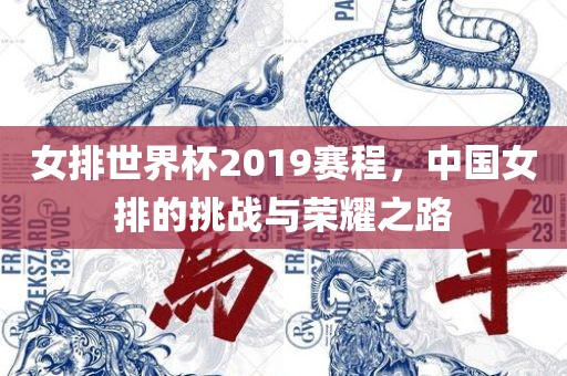 女排世界杯2019赛程，中国女排的挑战与荣耀之路