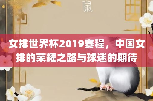 女排世界杯2019赛程，中国女排的荣耀之路与球迷的期待
