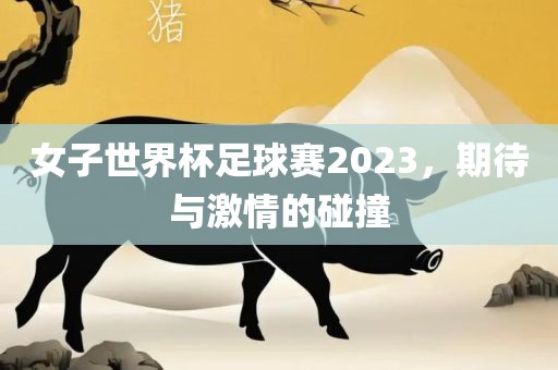 女子世界杯足球赛2023，期待与激情的碰撞