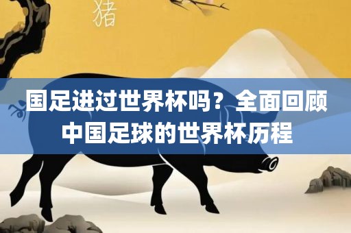 国足进过世界杯吗？全面回顾中国足球的世界杯历程