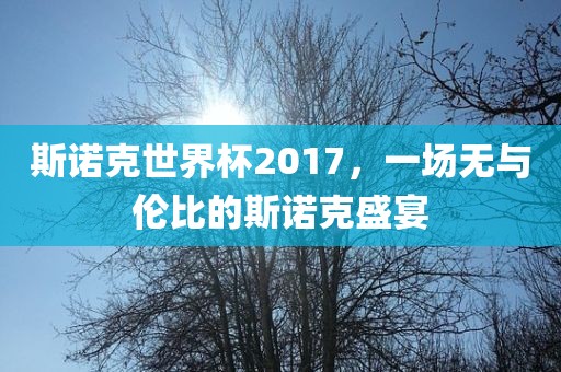 斯诺克世界杯2017，一场无与伦比的斯诺克盛宴