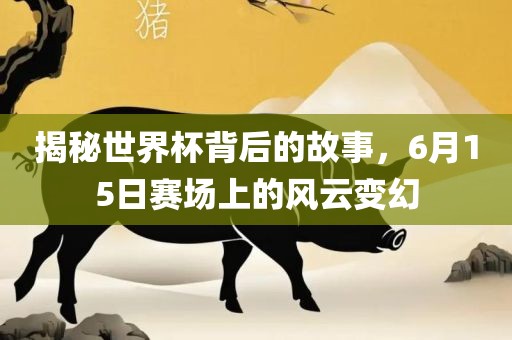 揭秘世界杯背后的故事，6月15日赛场上的风云变幻