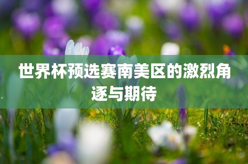 世界杯预选赛南美区的激烈角逐与期待