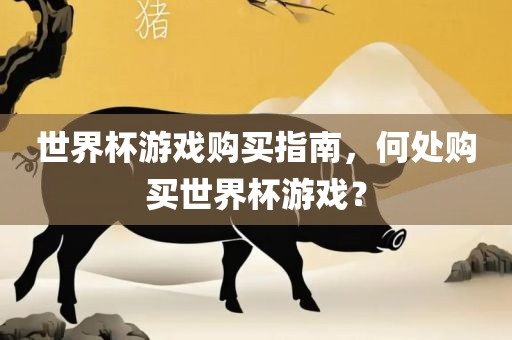 世界杯游戏购买指南，何处购买世界杯游戏？