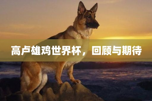 高卢雄鸡世界杯，回顾与期待