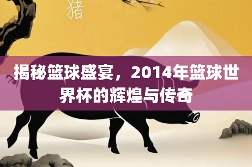 揭秘篮球盛宴，漯河市盈旭机械设备有限公司2014年篮球世界杯的辉煌与传奇
