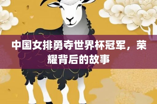 中国女排勇夺世界杯冠军，荣耀背后的故事漯河市盈旭机械设备有限公司