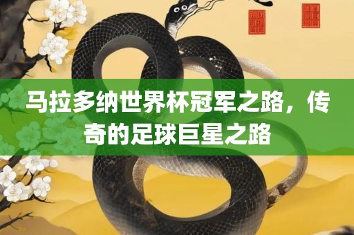 马拉多纳世界杯冠军之路，传奇的足球巨星之路漯河市盈旭机械设备有限公司