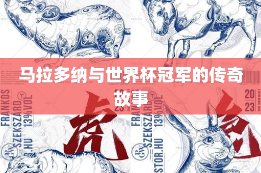 马拉多纳与世界杯冠军的传奇故事漯河市盈旭机械设备有限公司