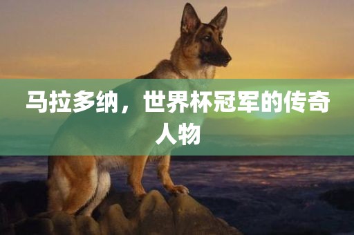 马拉多纳，世界杯冠军的传奇人物漯河市盈旭机械设备有限公司