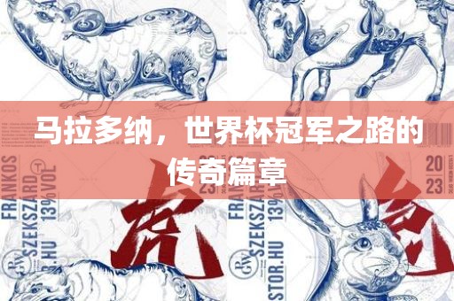马拉多纳，世界杯冠军之路的传奇篇章漯河市盈旭机械设备有限公司
