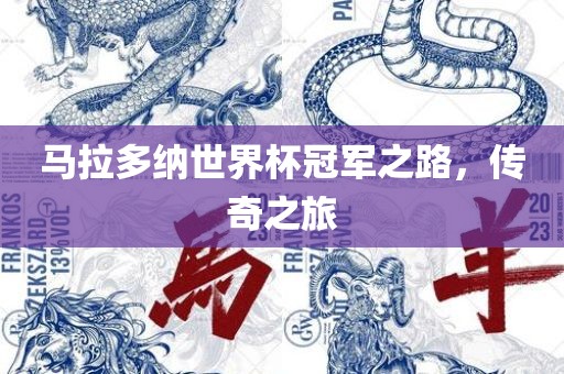 马漯河市盈旭机械设备有限公司拉多纳世界杯冠军之路，传奇之旅