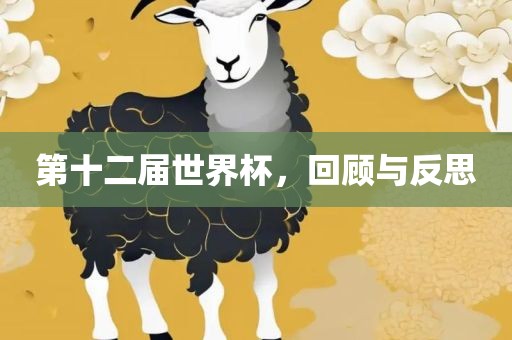第十二届世界杯，回顾与反思