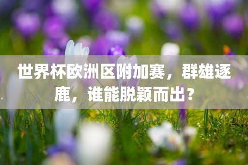 世界杯欧洲区附加赛，群雄逐鹿，谁能脱颖而出？