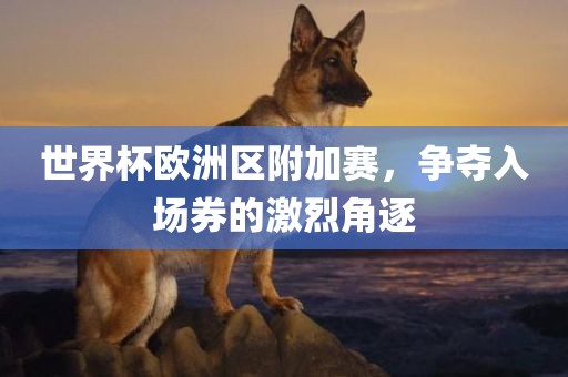 世界杯欧洲区附加赛，争夺入场券的激烈角逐
