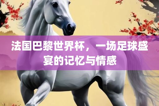法国巴黎世界杯，一场足球盛宴的记忆与情感
