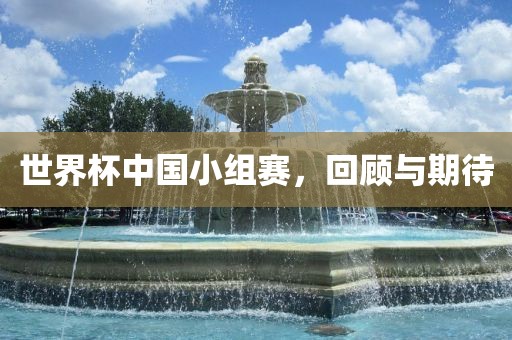 世界杯中国小组赛，回顾与期待