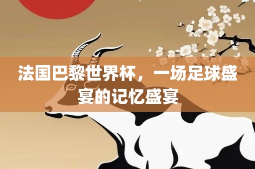 法国巴黎世界杯，一场足球盛宴的记忆盛宴
