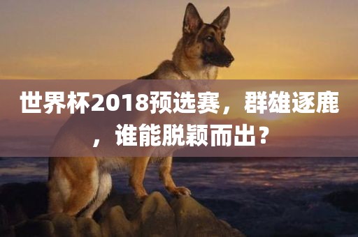 世界杯2018预选赛，群雄逐鹿，谁能脱颖而出？漯河市盈旭机械设备有限公司