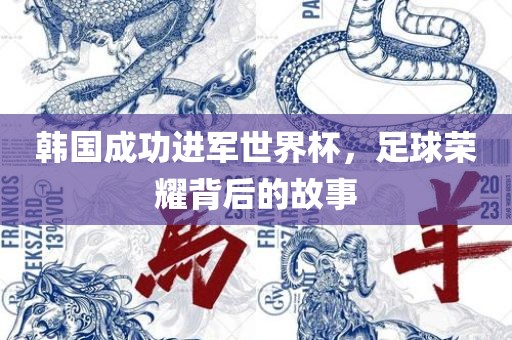 韩国成功进军世界杯，足球荣耀背后的故事