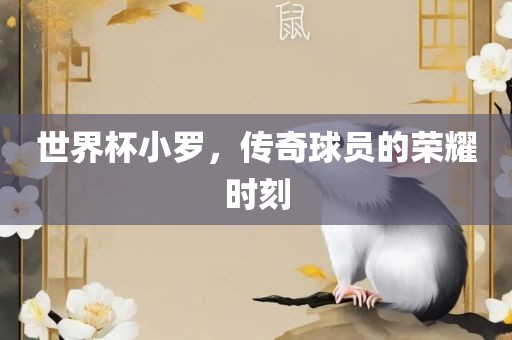 世界杯小罗，传奇球员的荣耀时刻