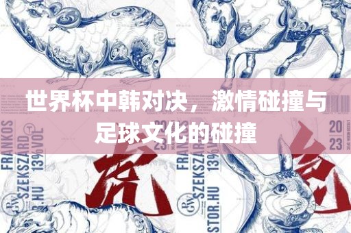 世界杯中韩对决，激情碰撞与足球文化的碰撞