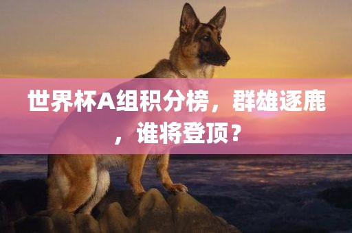 世界杯A组积分榜，群雄逐鹿，谁将登顶？