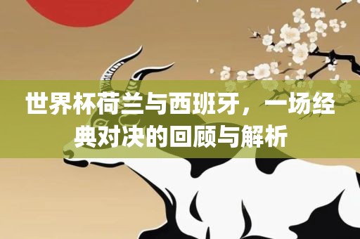 世界杯荷兰与西班牙，一场经典对决的回顾与解析