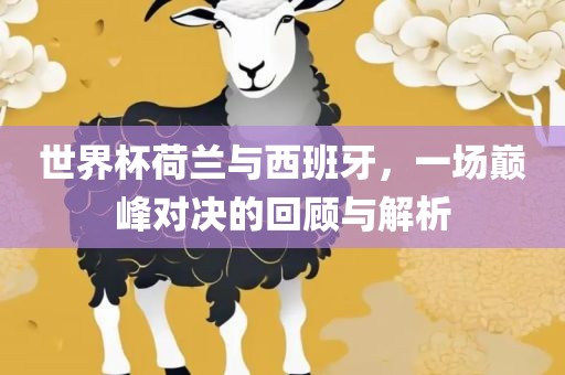 世界杯荷兰与西班牙，一场巅峰对决的回顾与解析