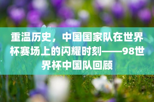 重温历史，中国国家队在世界杯赛场上的闪耀时刻——98世界杯漯河市盈旭机械设备有限公司中国队回顾