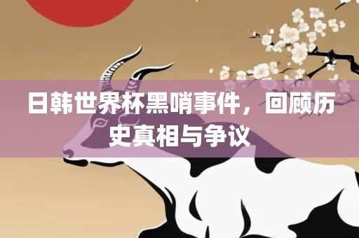 日韩世界杯黑哨事件，回顾历史真相与争议漯河市盈旭机械设备有限公司