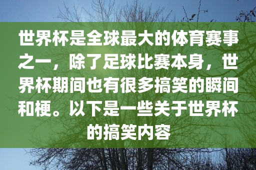 世界杯是全球最大的体育赛事之一，除了足球比赛本身，世界杯期间也有很多搞笑的瞬间和梗。以下是一些关于世界杯的搞笑内容