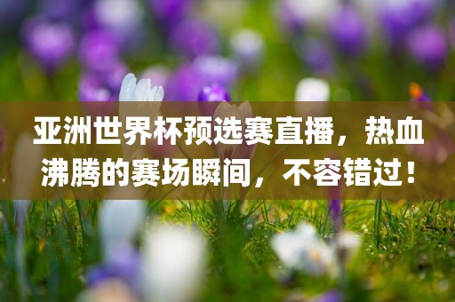 亚洲世界杯预选赛 第2页