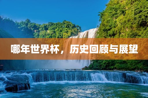 哪年世界杯，历史回顾与展望