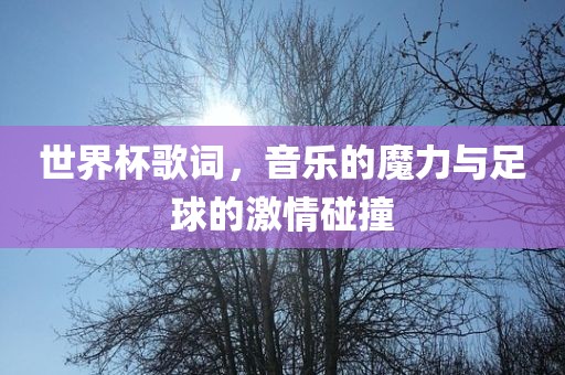 世界杯歌词，音乐的魔力与足球的激情碰撞