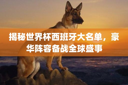 揭秘世界杯西班牙大名单，豪华阵容备战全球盛事