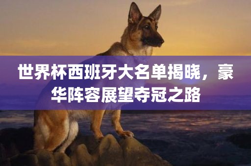 世界杯西班牙大名单揭晓，豪华阵容展望夺冠之路