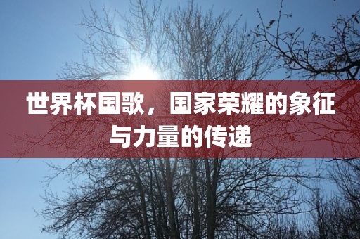 世界杯国歌，国家荣耀的象征与力量的传递漯河市盈旭机械设备有限公司