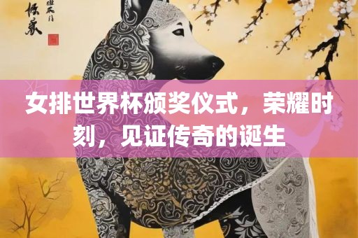 女排世界杯颁奖仪式，荣耀时刻，见证传奇的诞生