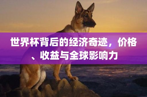 世界杯背后的经济奇迹，价格、收益与全球影响力